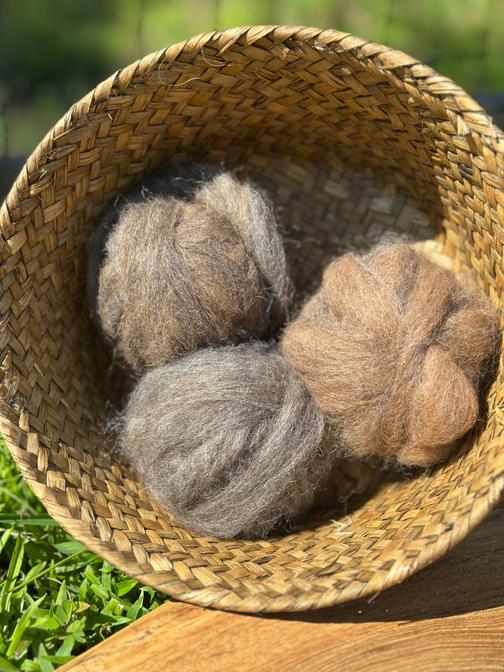 2025 Alpaca Roving