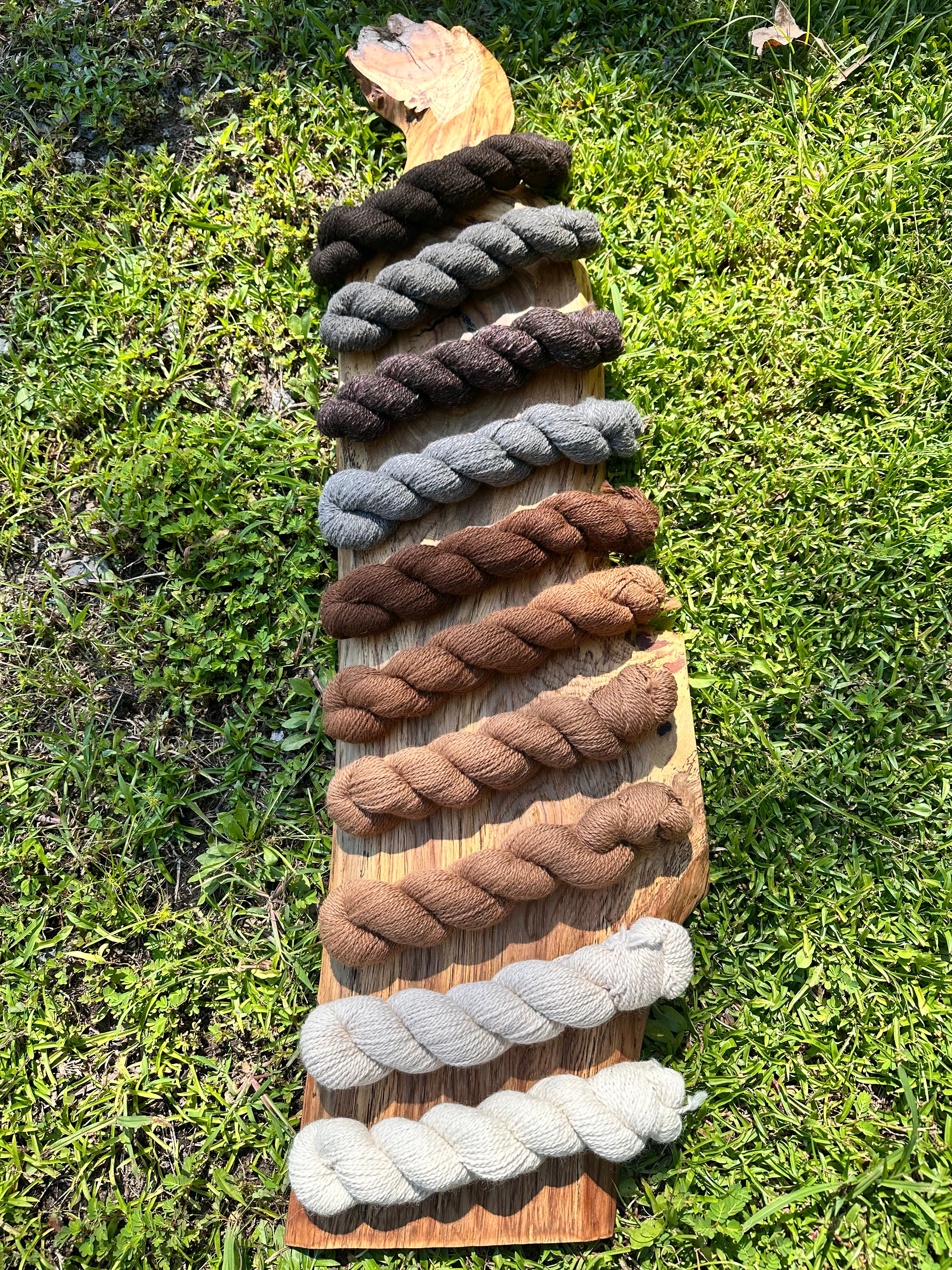 alpaca様 2025 Alpaca Yarn – Blackwater Acres