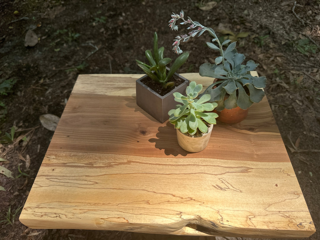 Live Oak Plant Stand [For Pick Up or Local Delivery Only]