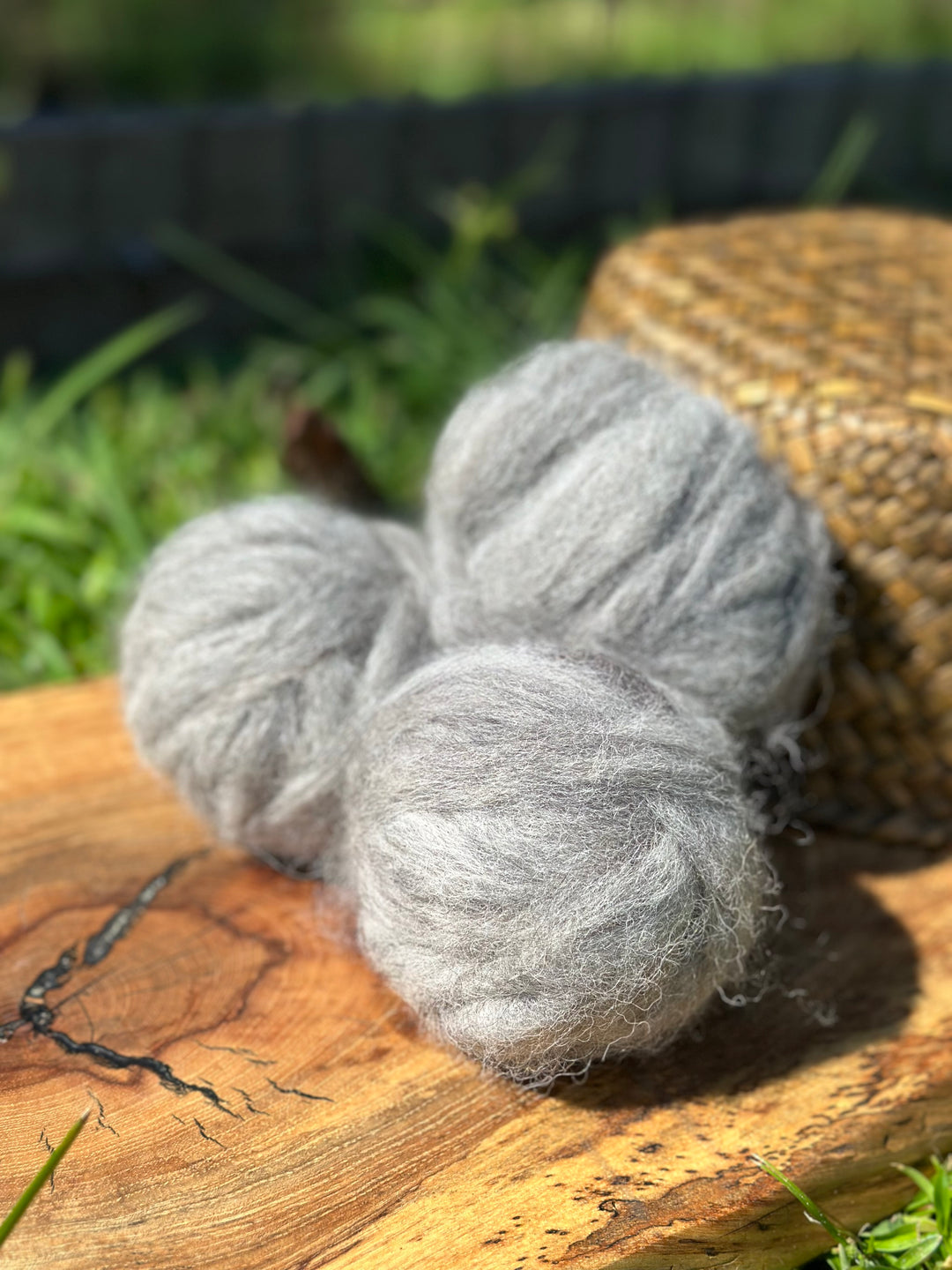 2025 Alpaca Roving