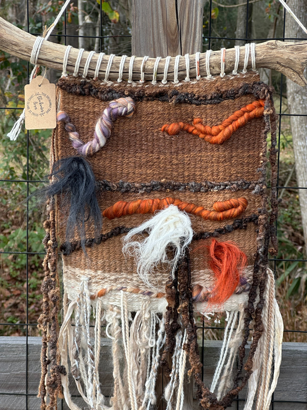 Autumnity on Driftwood
