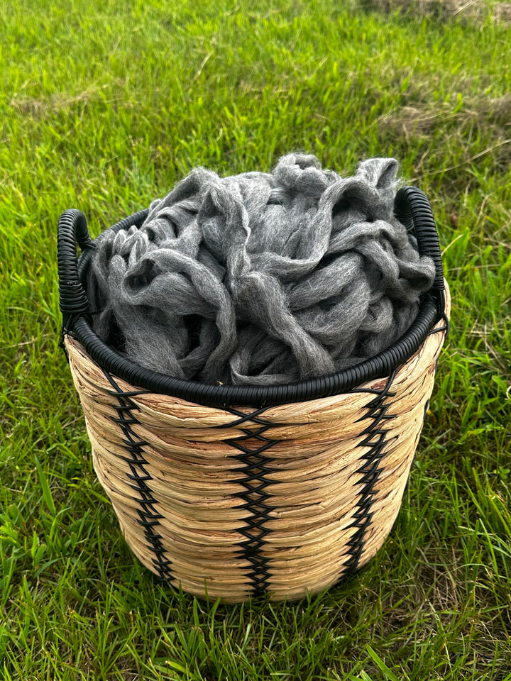 2026 Alpaca Roving