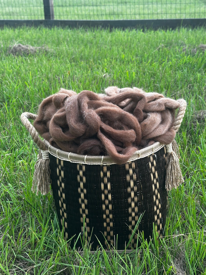 2026 Alpaca Roving