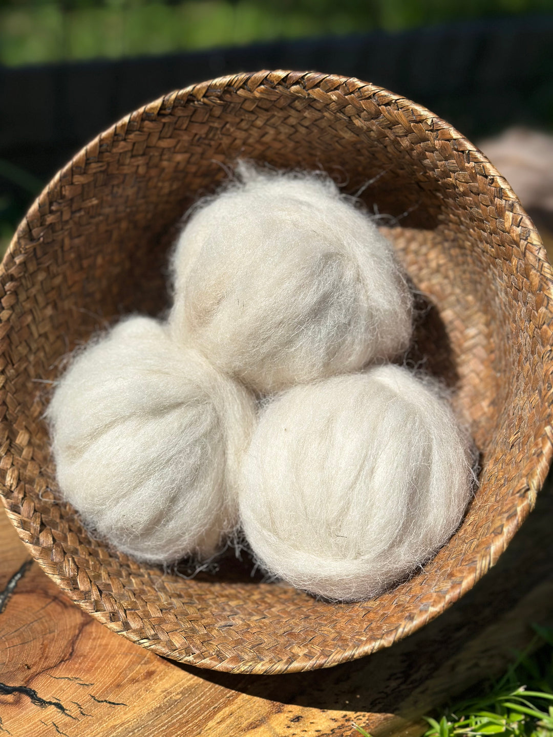 2025 Alpaca Roving