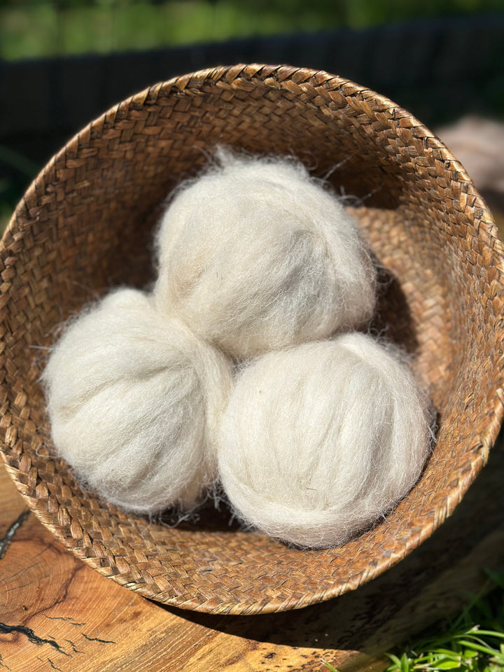 2025 Alpaca Roving