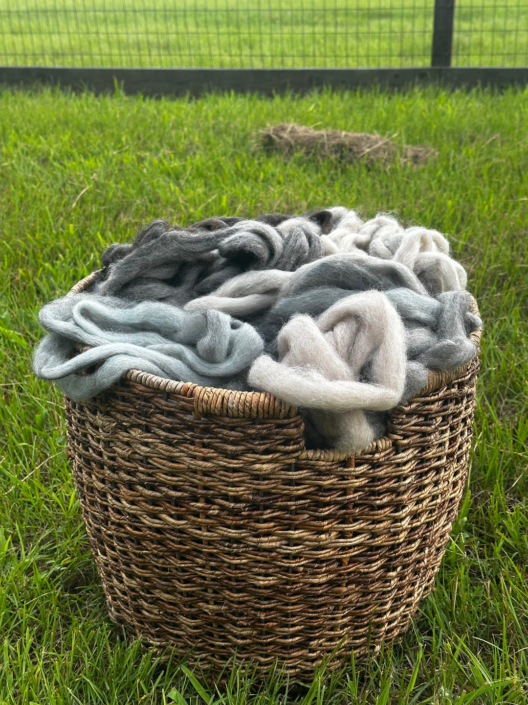 2026 Alpaca Roving