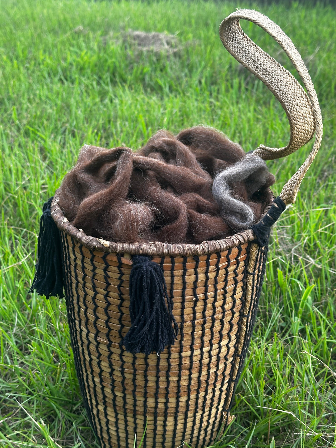 2026 Alpaca Roving
