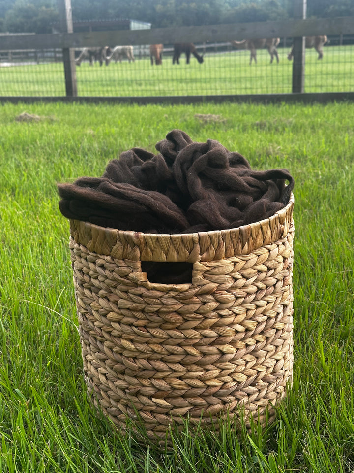 2026 Alpaca Roving
