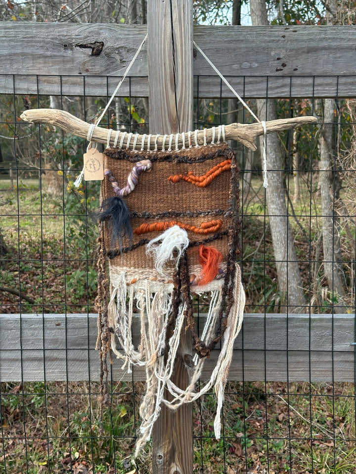 Autumnity on Driftwood