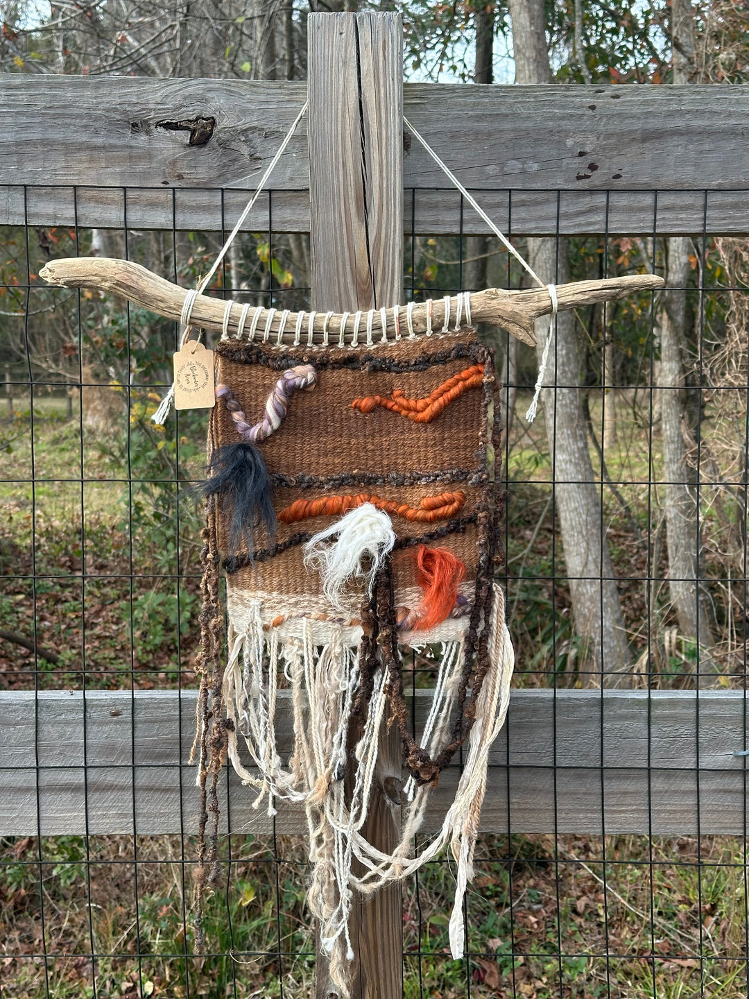 Autumnity on Driftwood