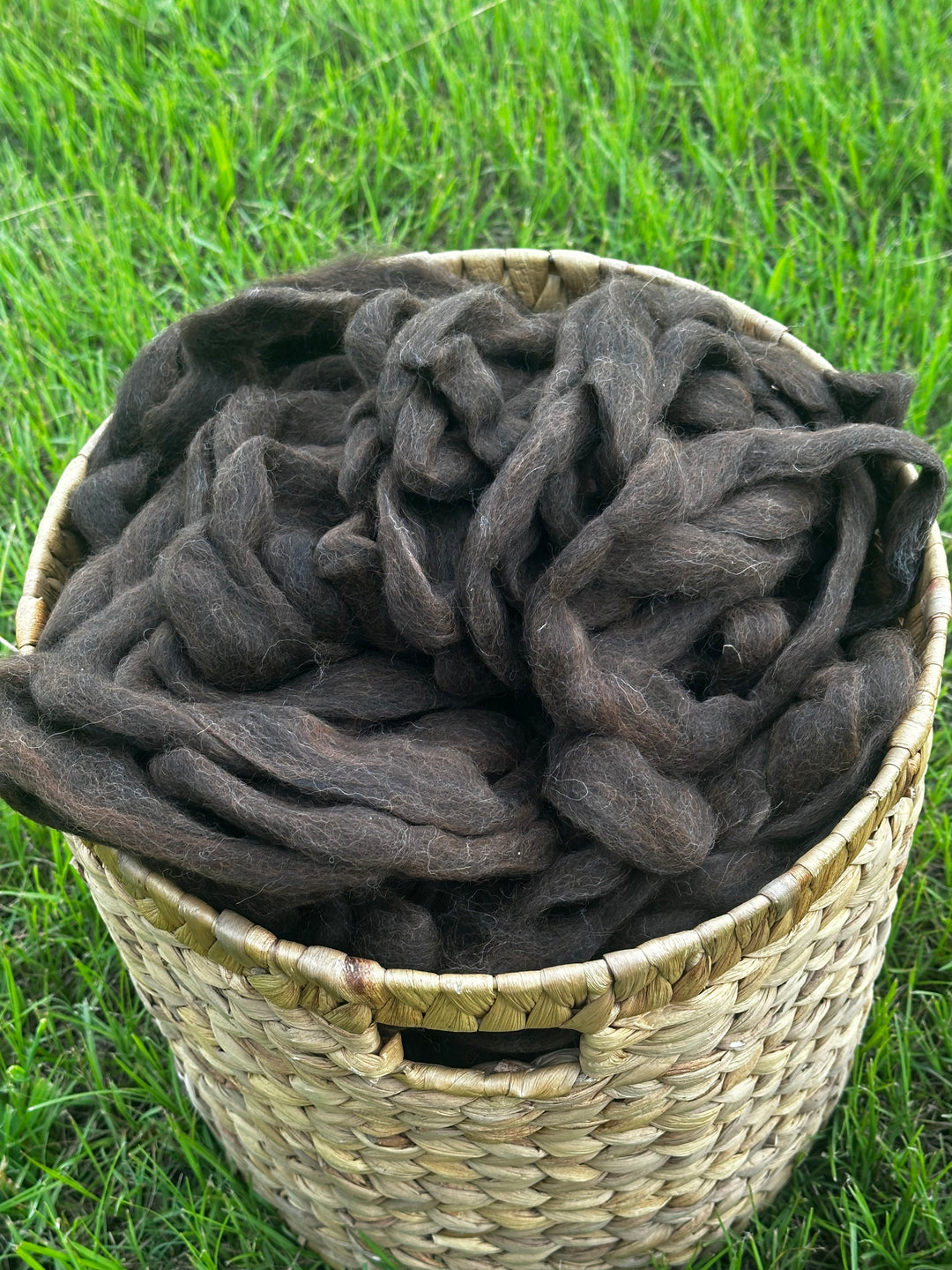 2026 Alpaca Roving
