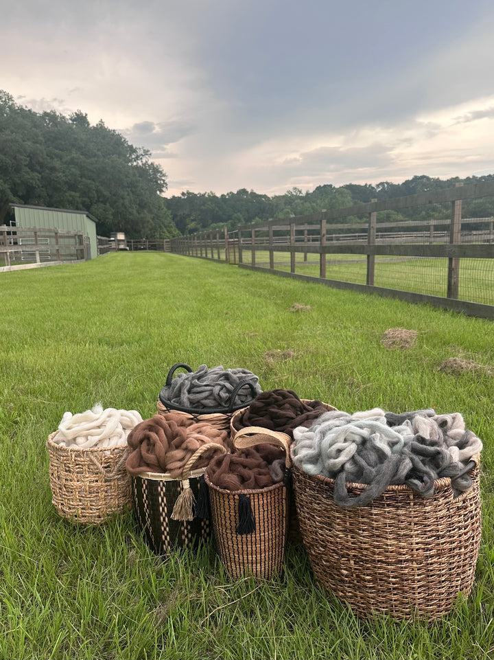 2026 Alpaca Roving