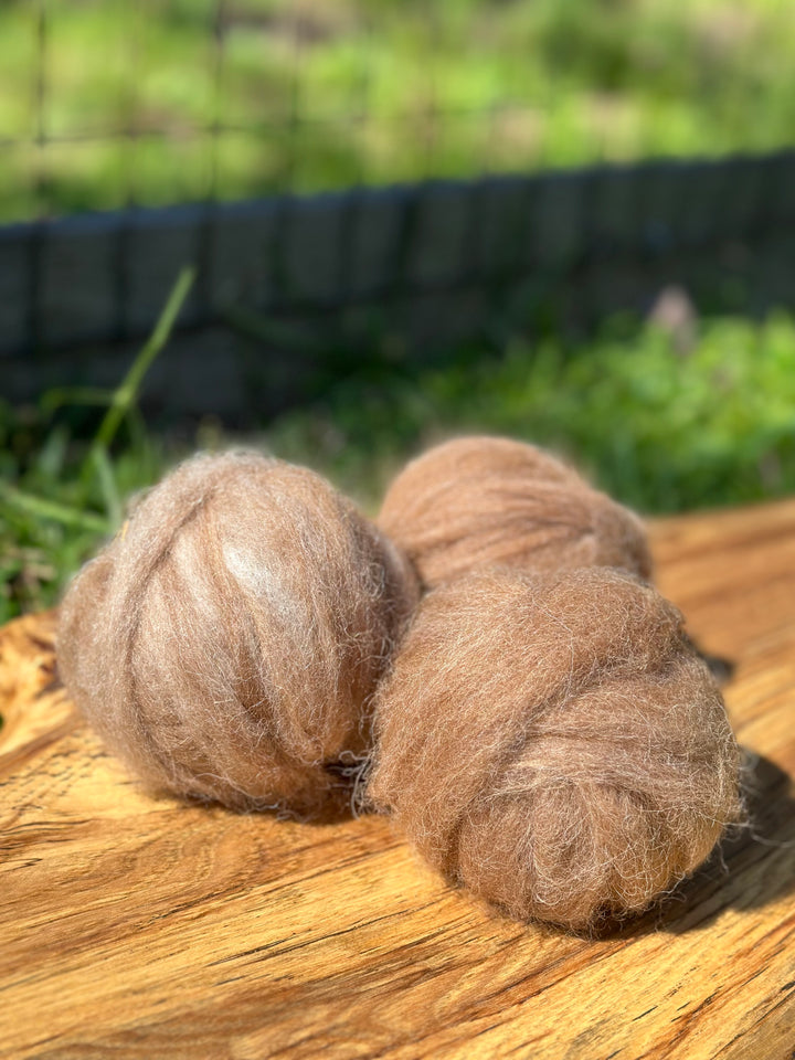 2025 Alpaca Roving
