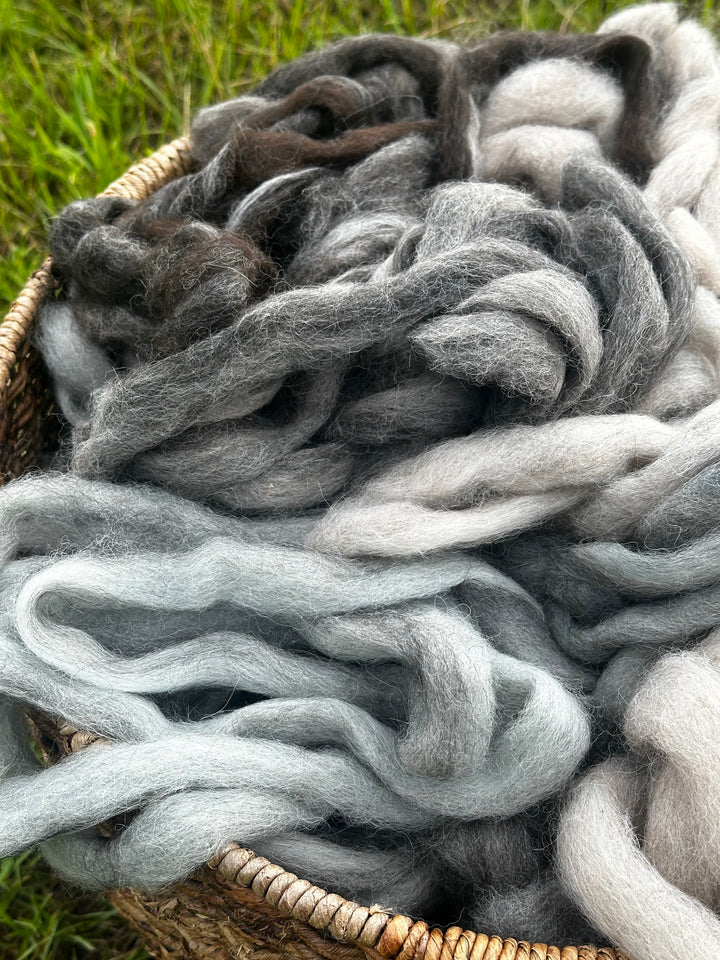 2026 Alpaca Roving