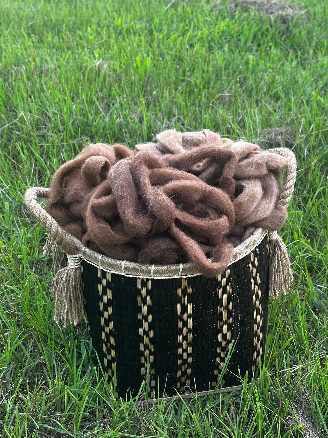 2026 Alpaca Roving