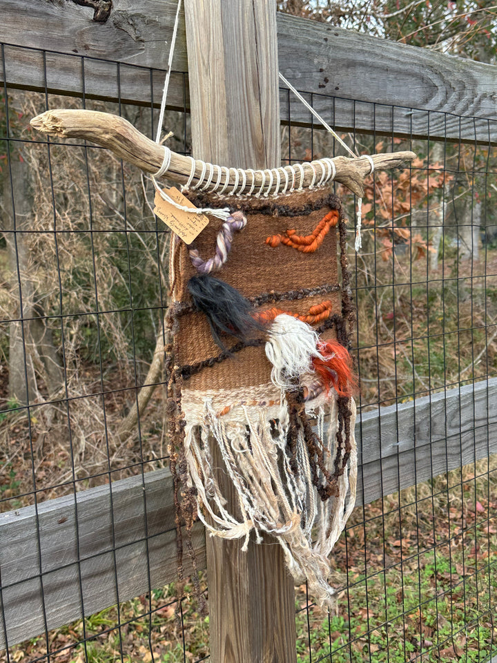 Autumnity on Driftwood