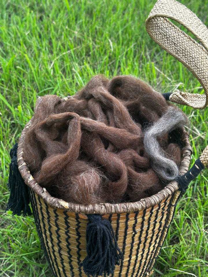 2026 Alpaca Roving