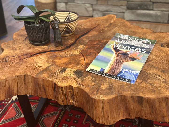 Pecan Coffee Table [Pick Up or Local Delivery Only]